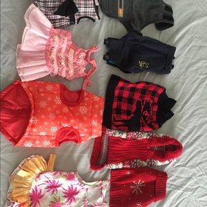 Dog clothes
